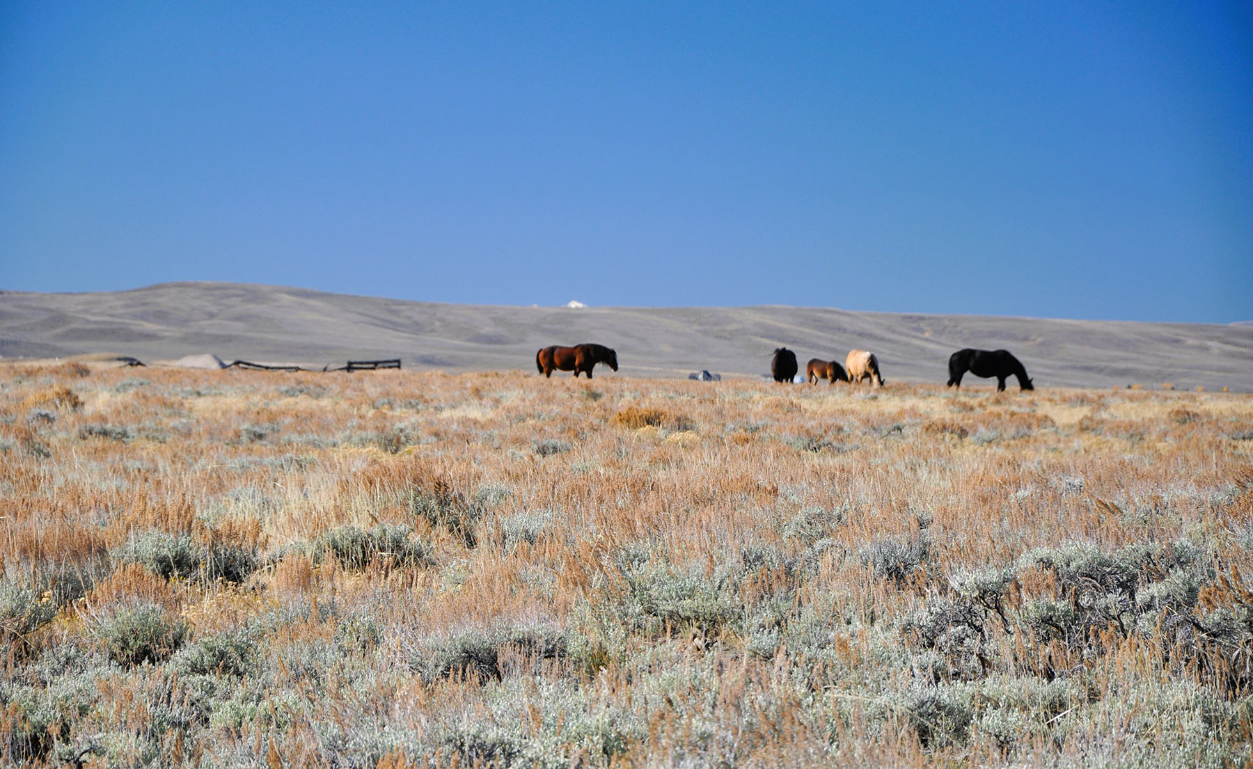 Binning Willow Creek Ranch property picture 10 of 25