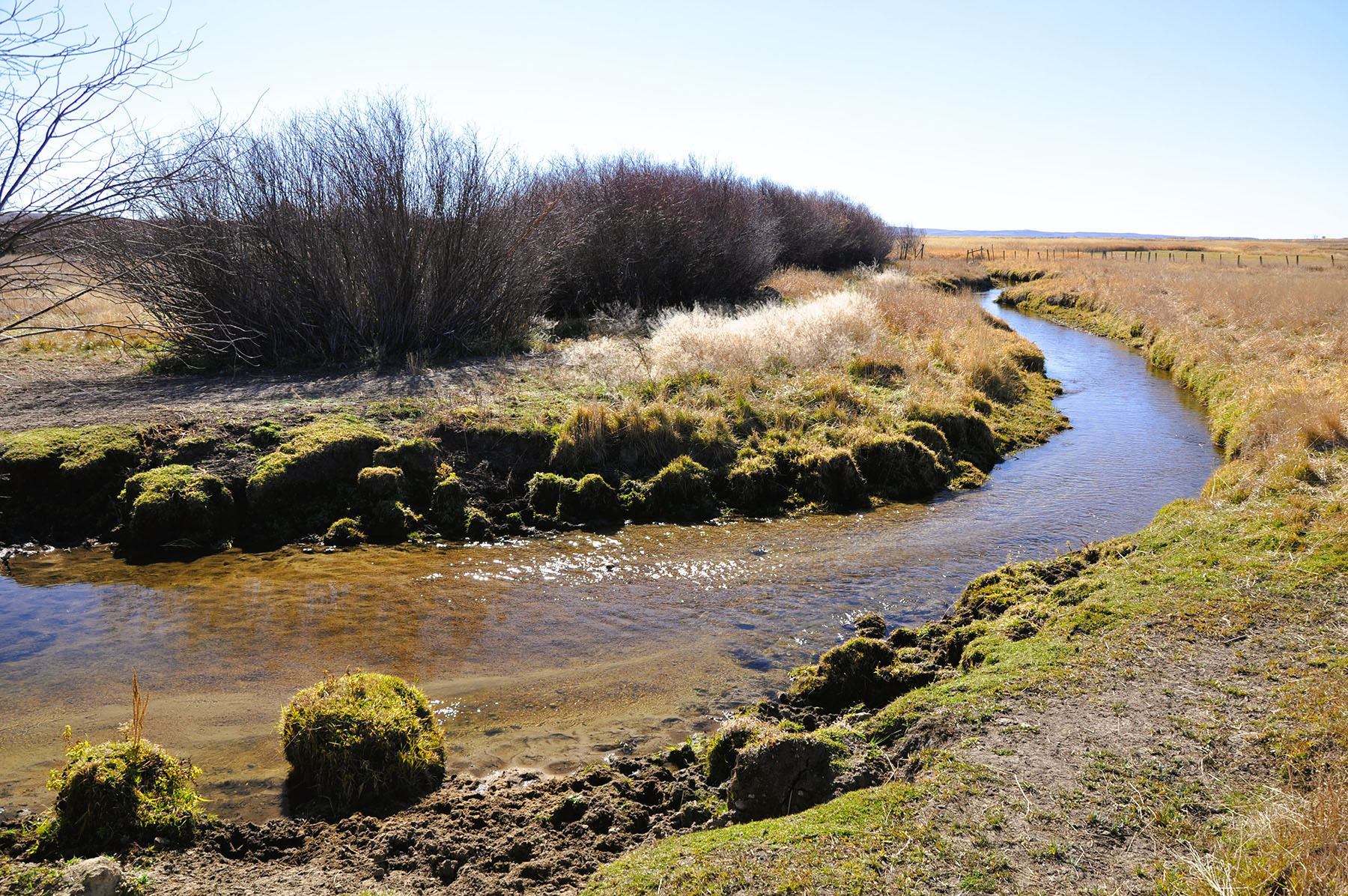 Binning Willow Creek Ranch property picture 13 of 25