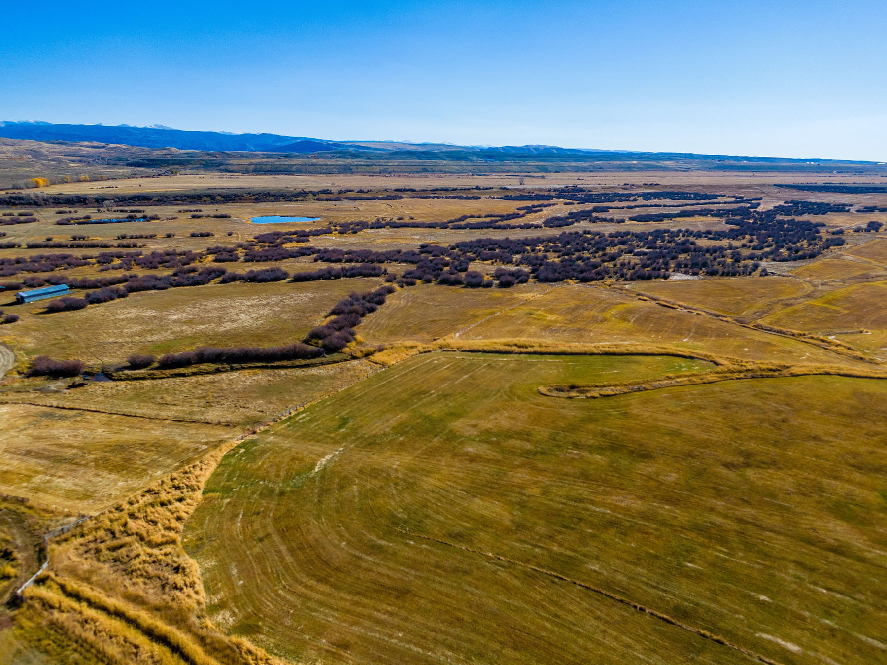 Binning Willow Creek Ranch property picture 12 of 25