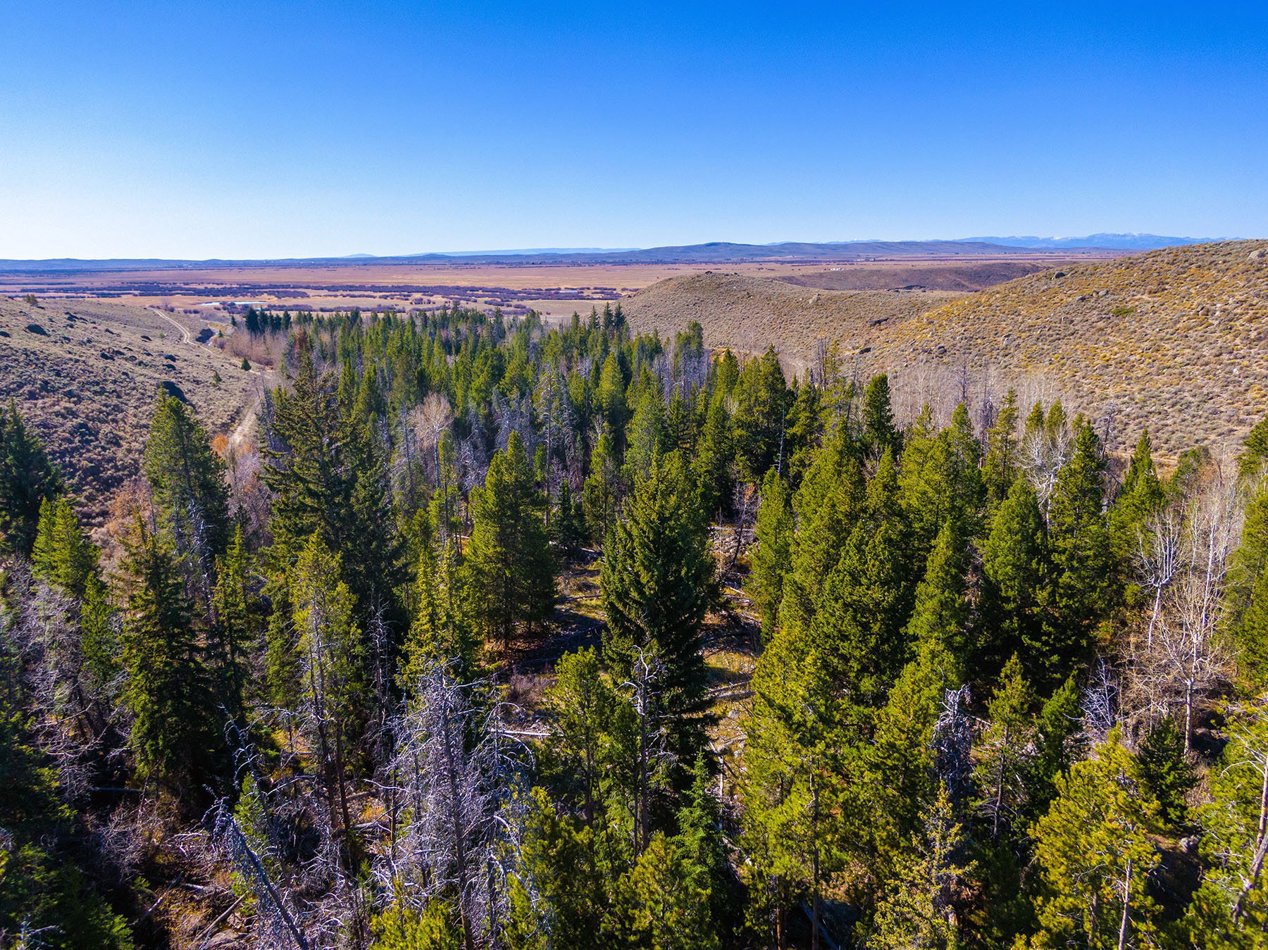 Binning Willow Creek Ranch property picture 15 of 25