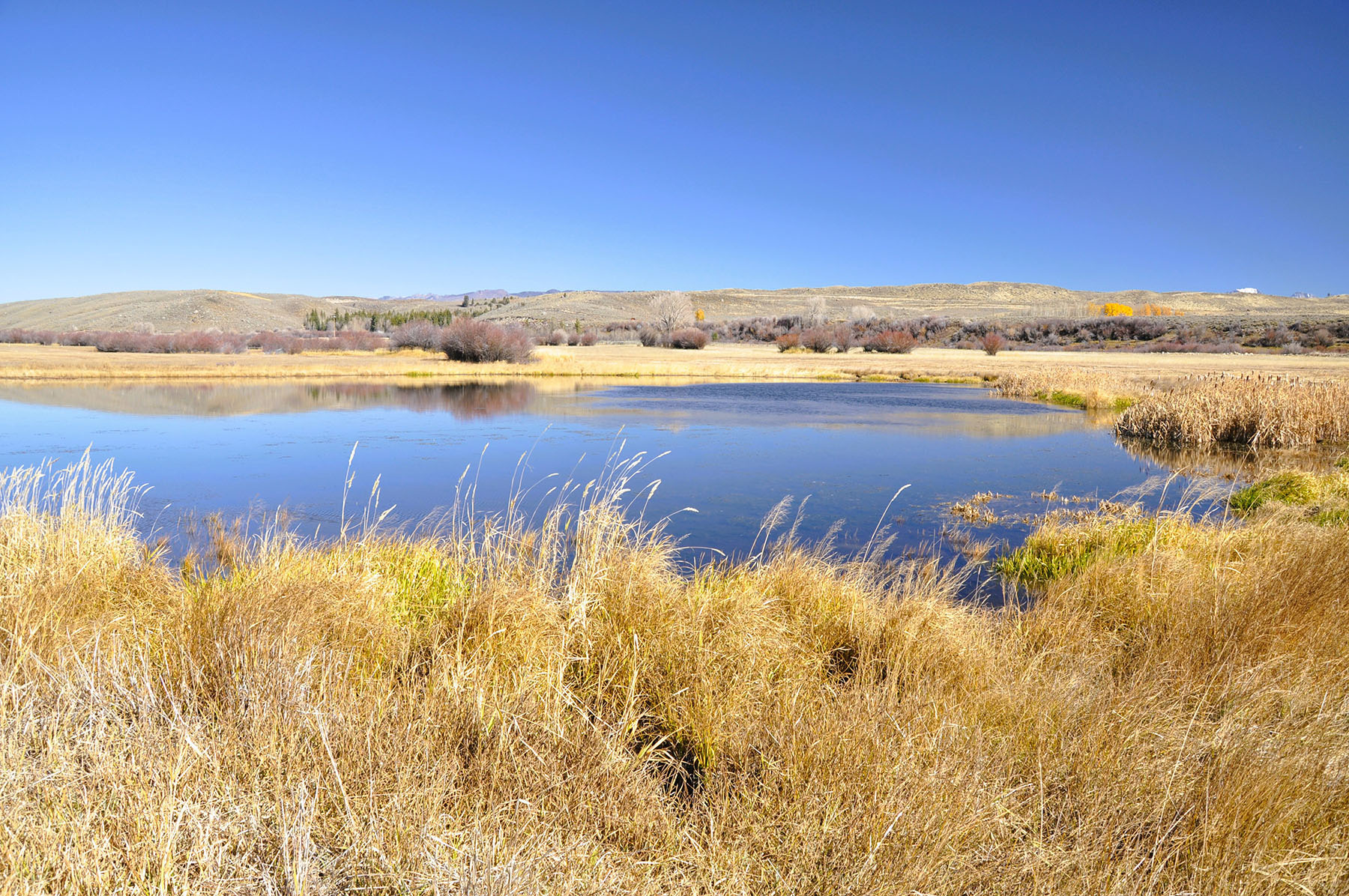Binning Willow Creek Ranch property picture 19 of 25