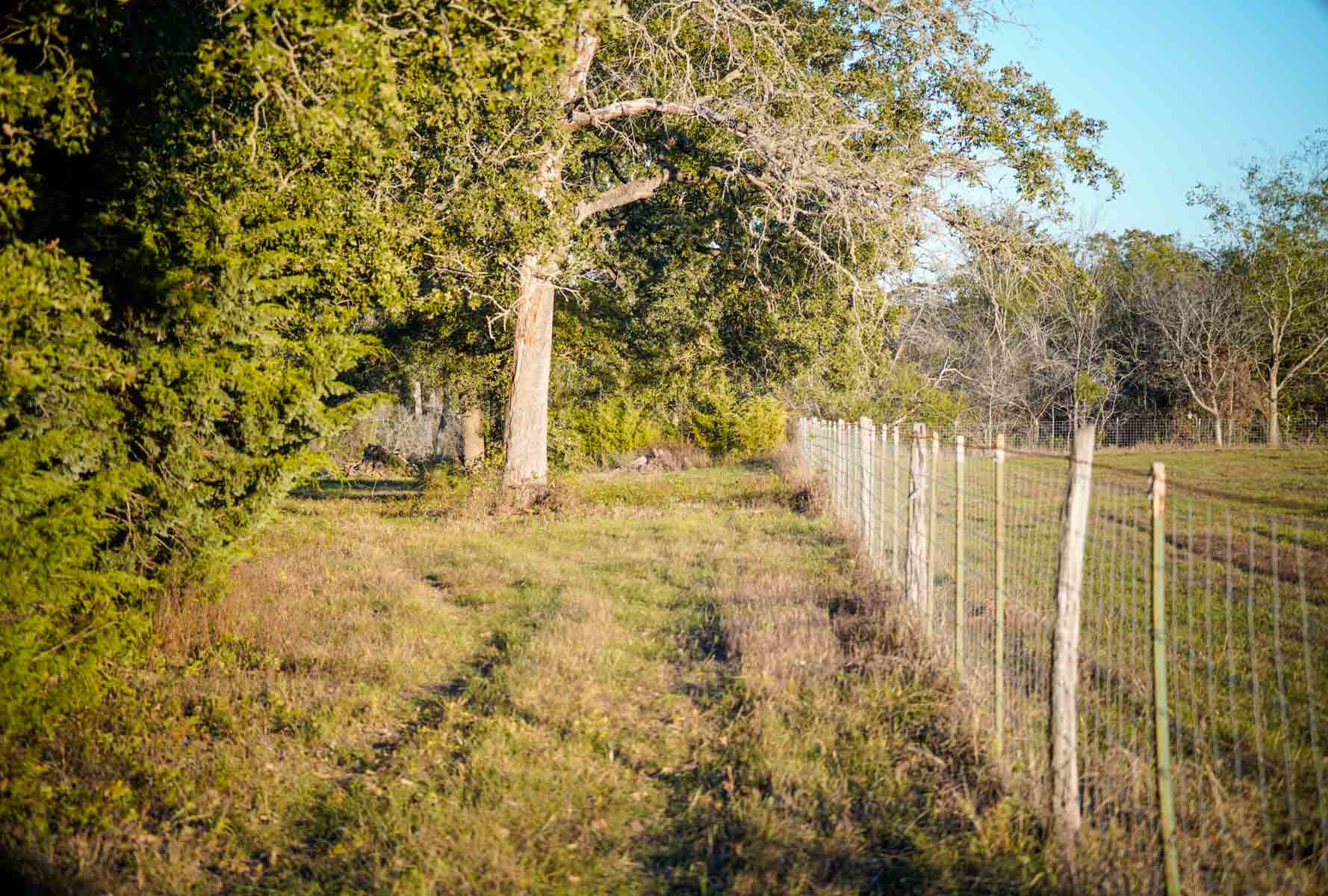 Windy Hill Ranch property picture 29 of 46