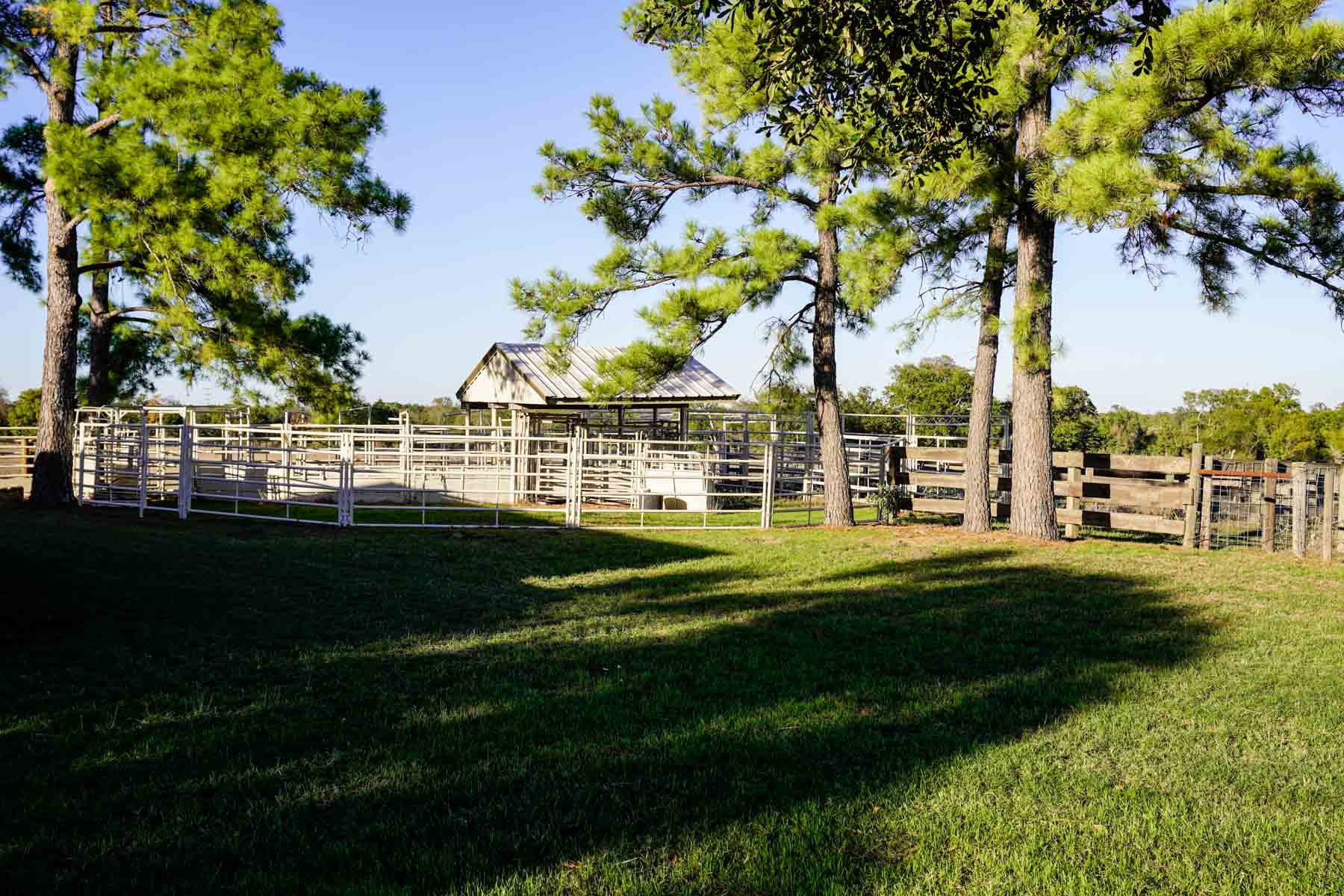 Windy Hill Ranch property picture 45 of 46