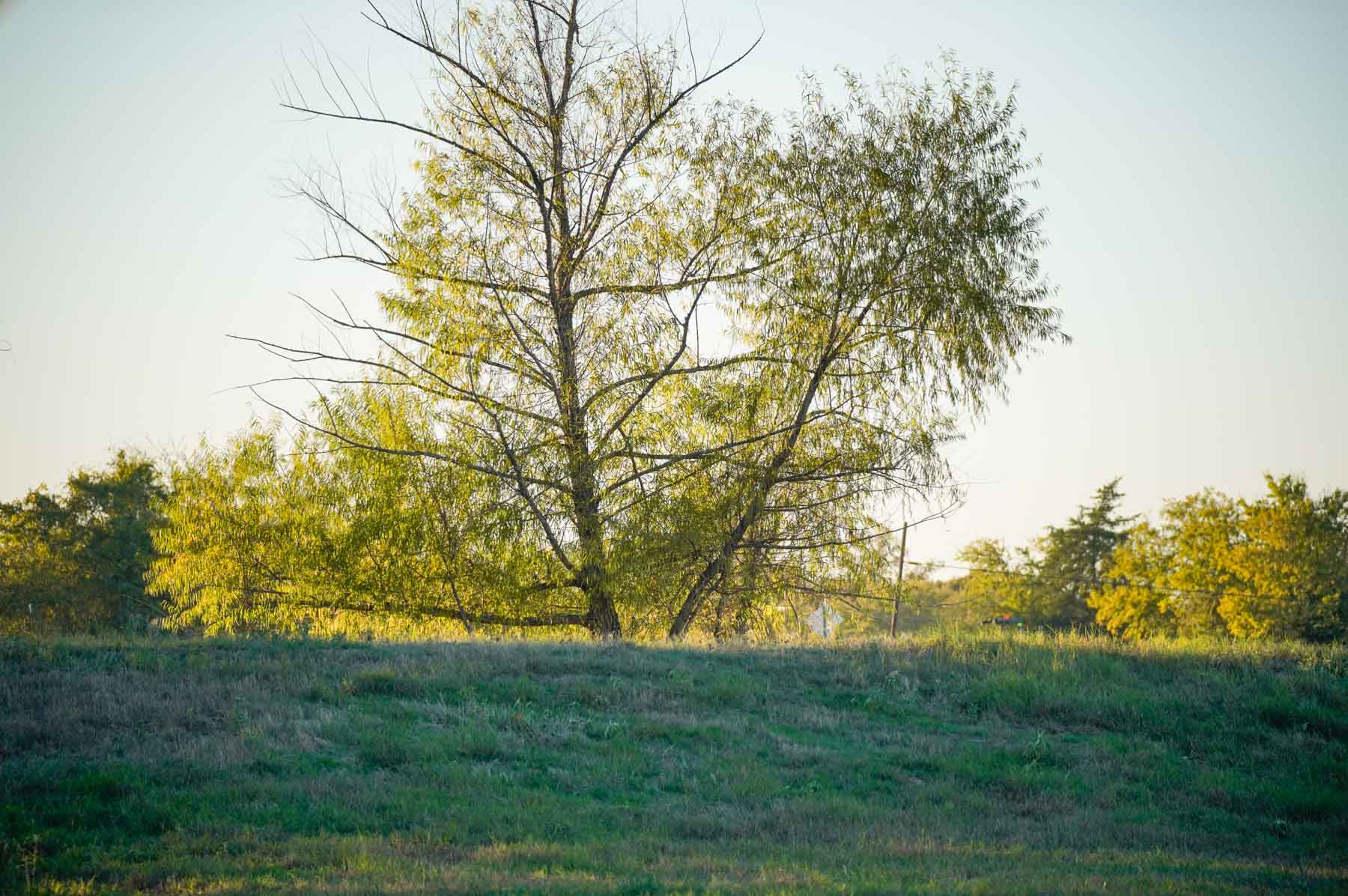 Windy Hill Ranch property picture 27 of 46