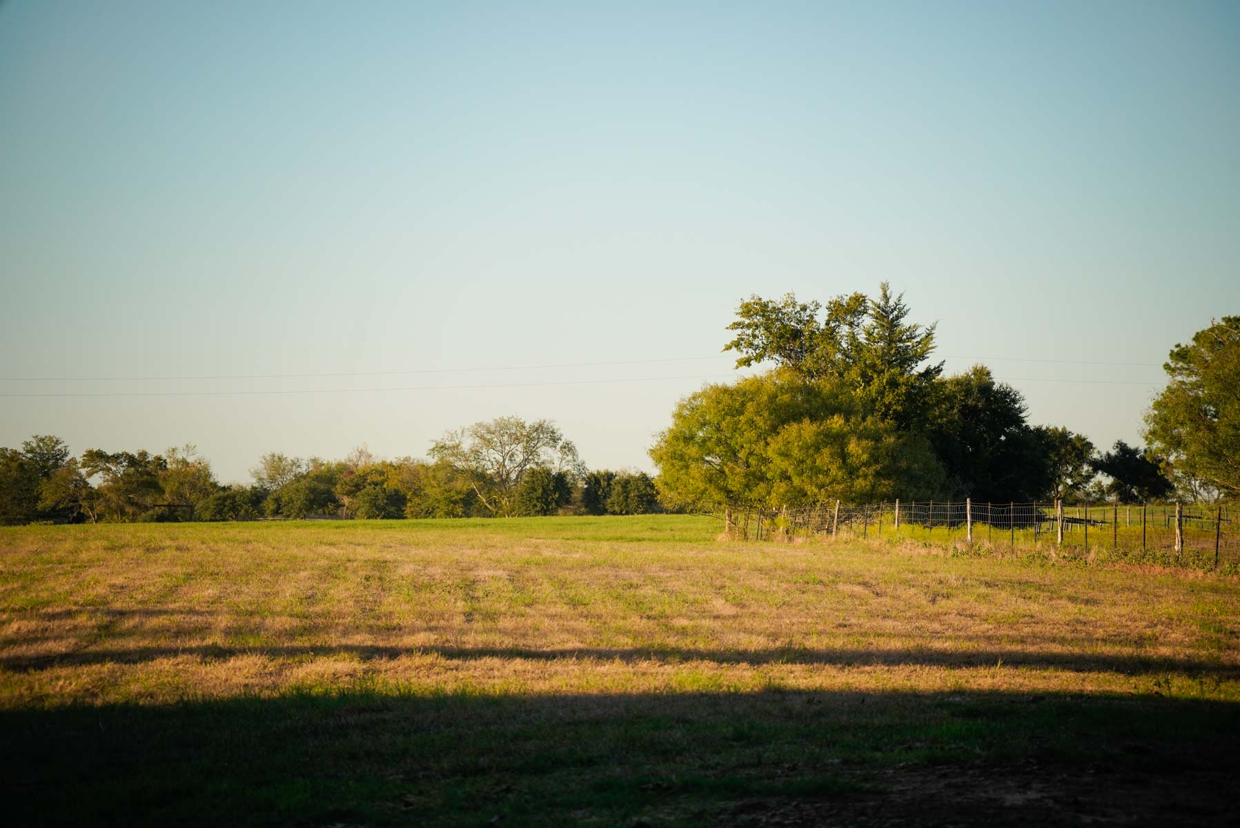 Windy Hill Ranch property picture 26 of 46