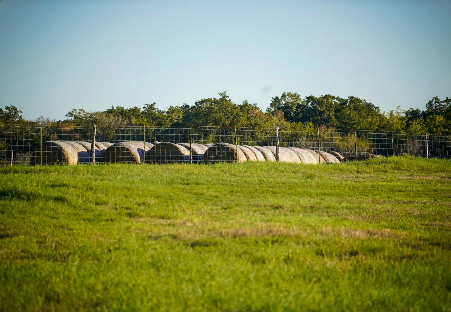 Windy Hill Ranch property picture 42 of 46