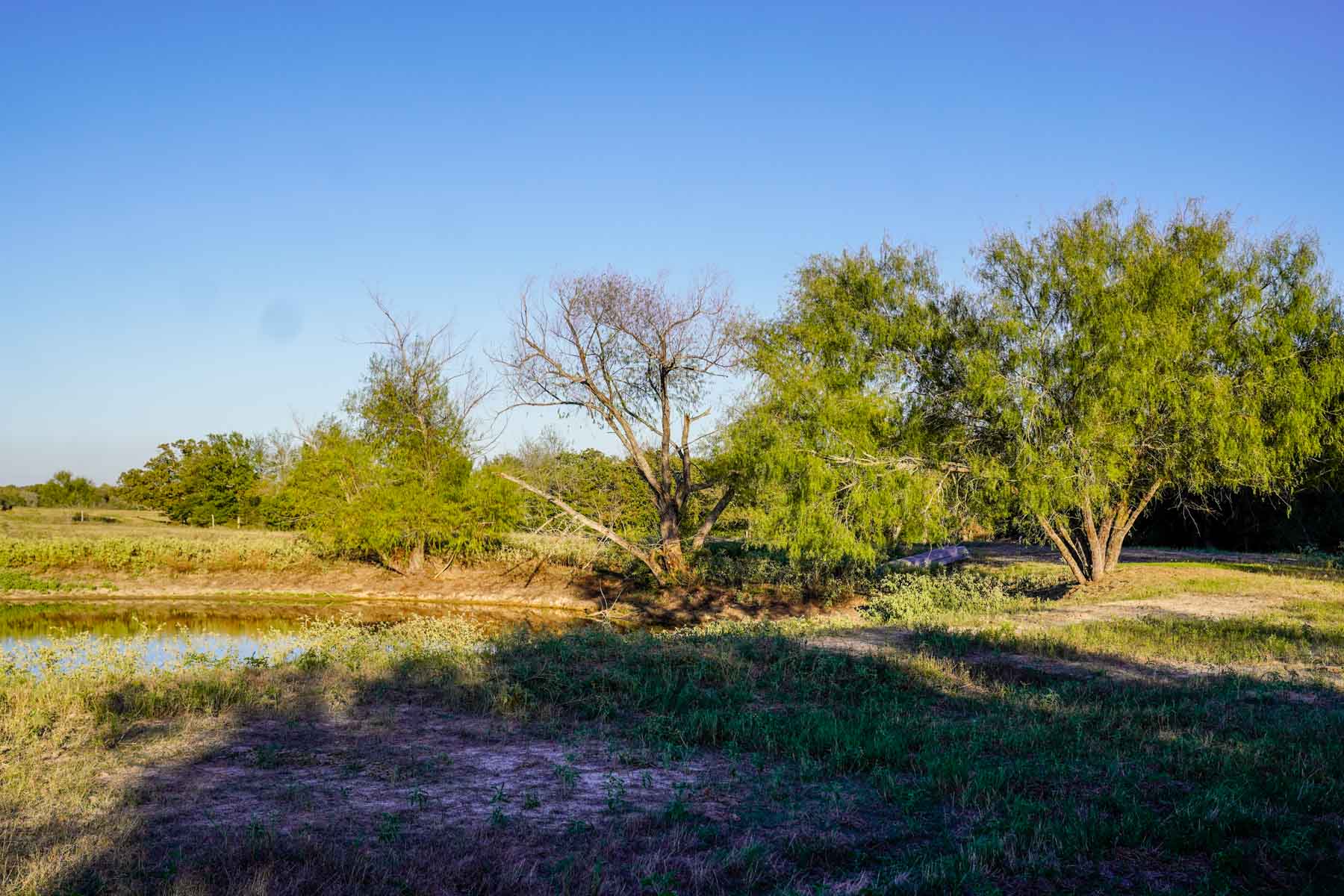 Windy Hill Ranch property picture 30 of 46