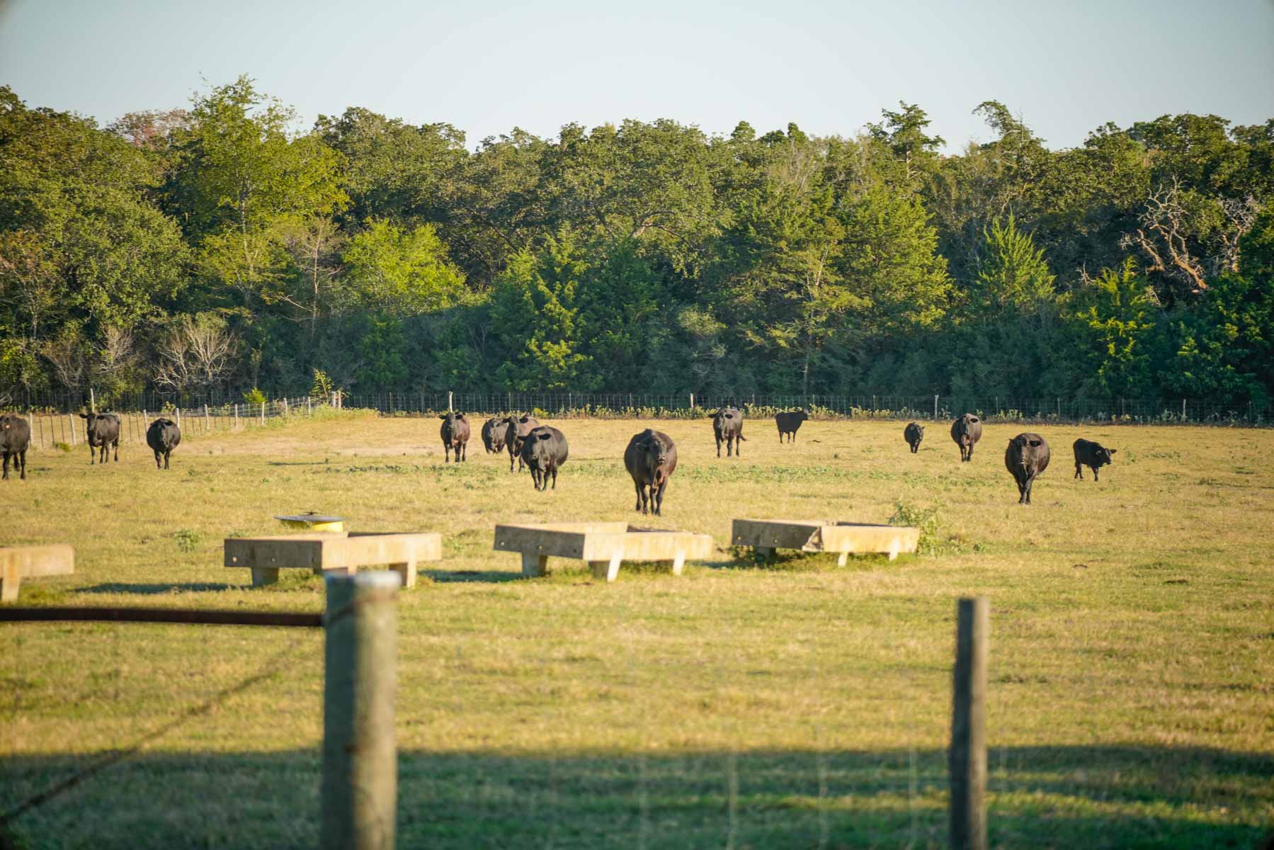 Windy Hill Ranch property picture 43 of 46