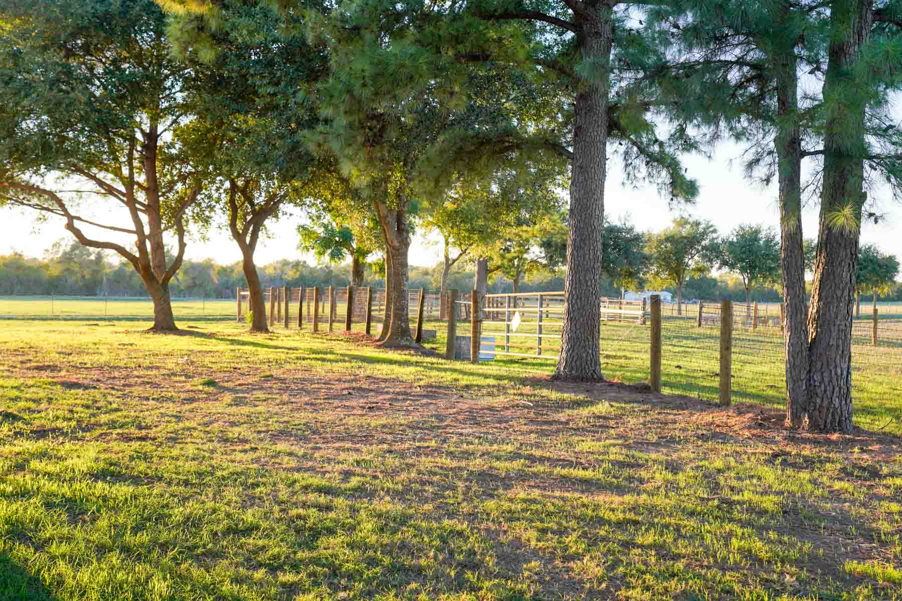 Windy Hill Ranch property picture 6 of 46