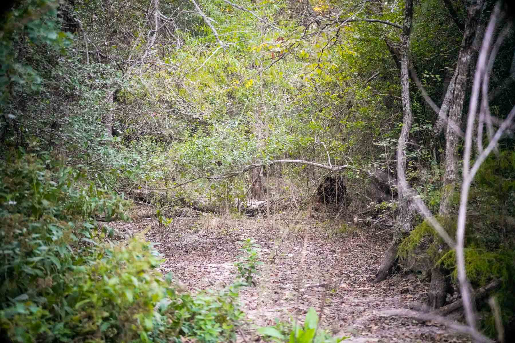 Windy Hill Ranch property picture 28 of 46