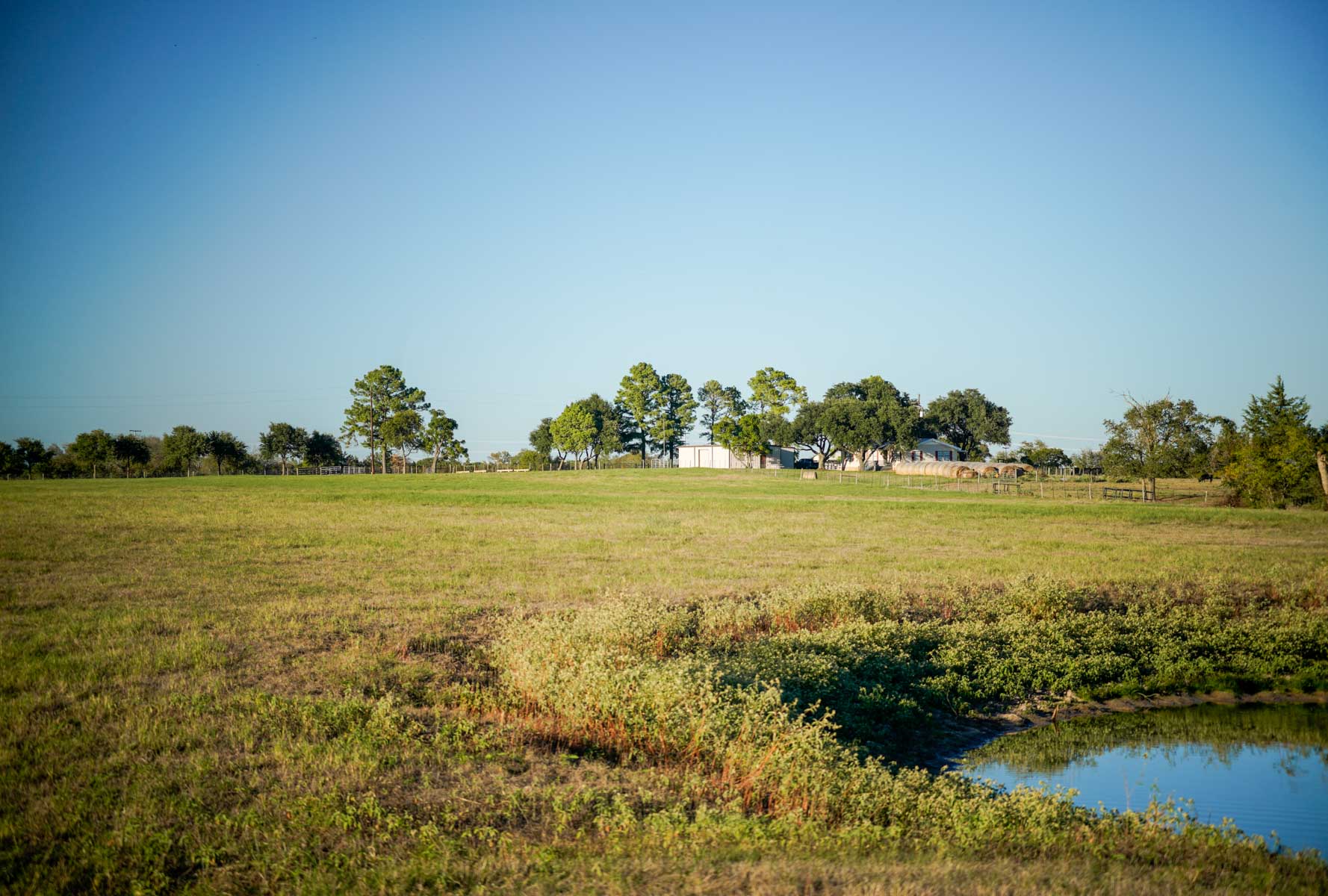 Windy Hill Ranch property picture 38 of 46
