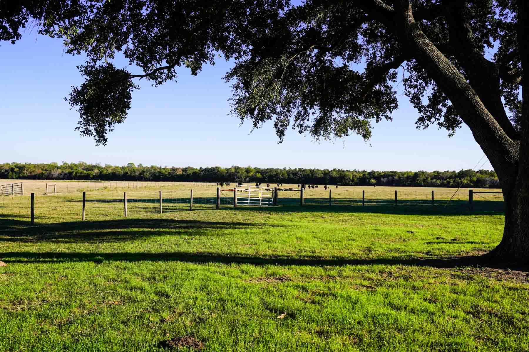 Windy Hill Ranch property picture 37 of 46