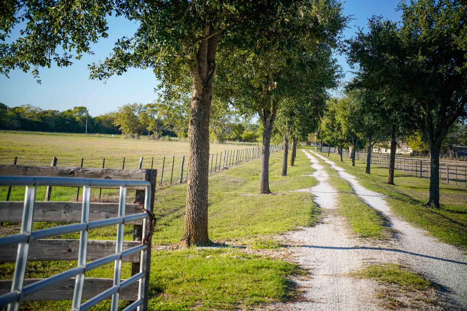 Windy Hill Ranch property picture 44 of 46
