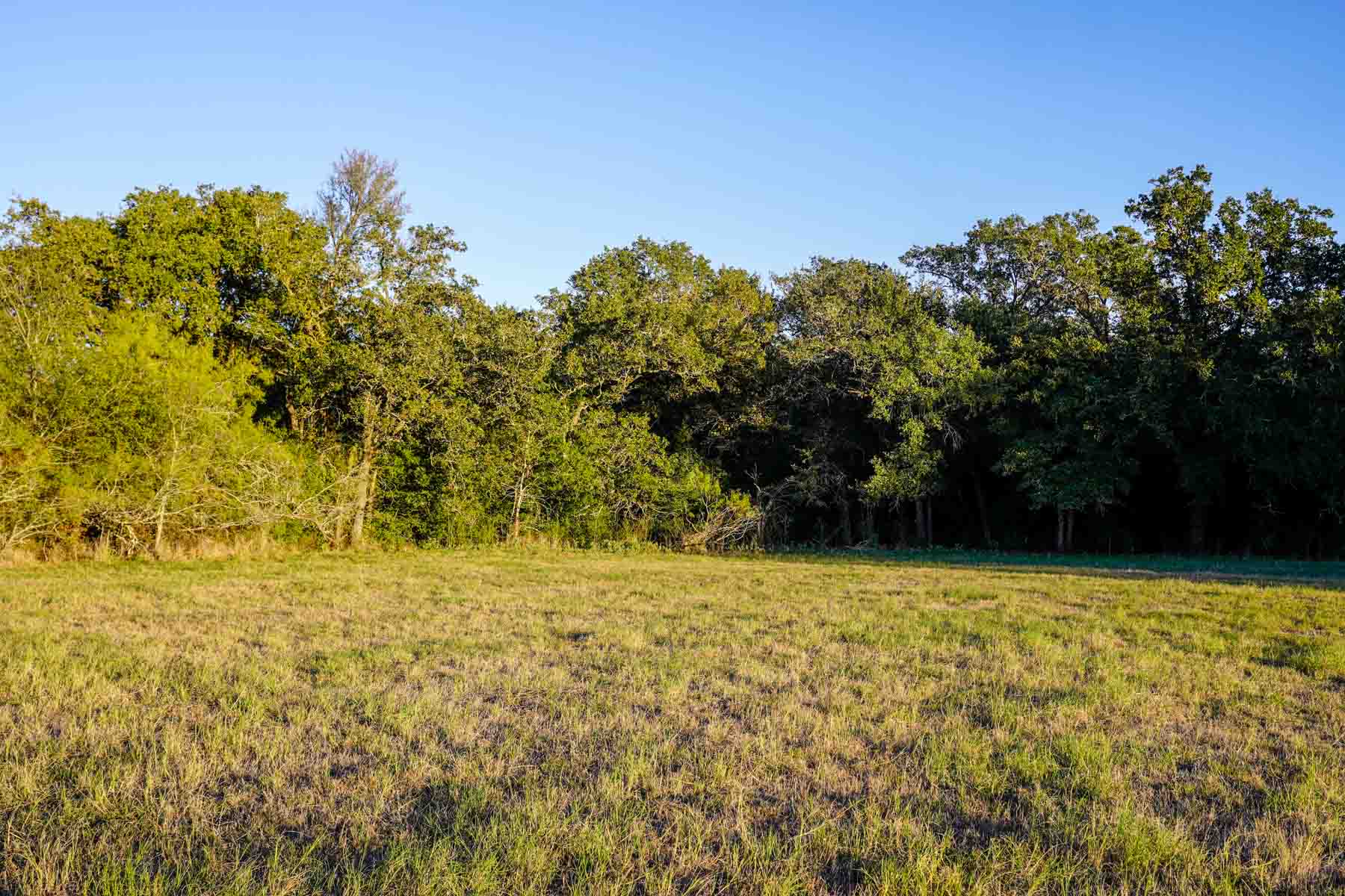 Windy Hill Ranch property picture 10 of 46