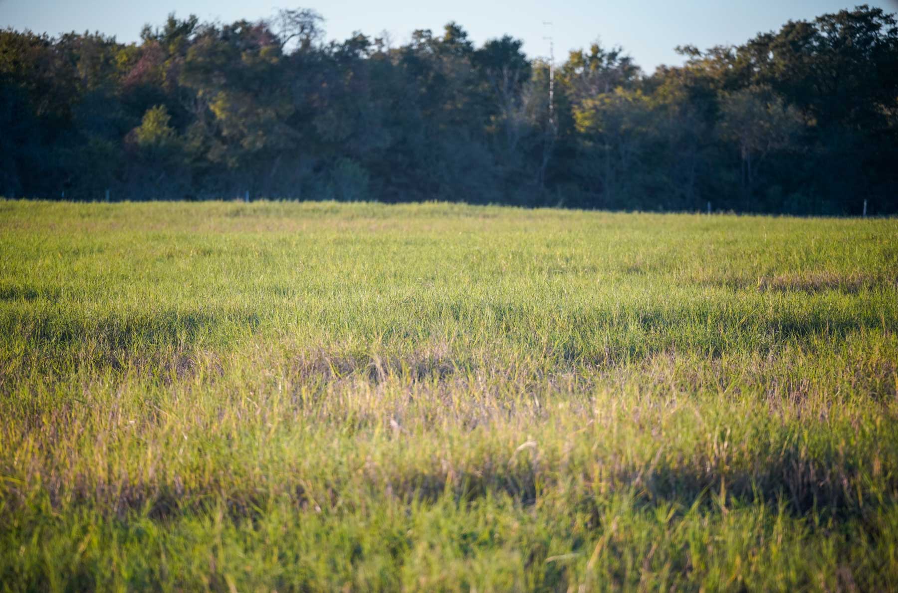 Windy Hill Ranch property picture 20 of 46