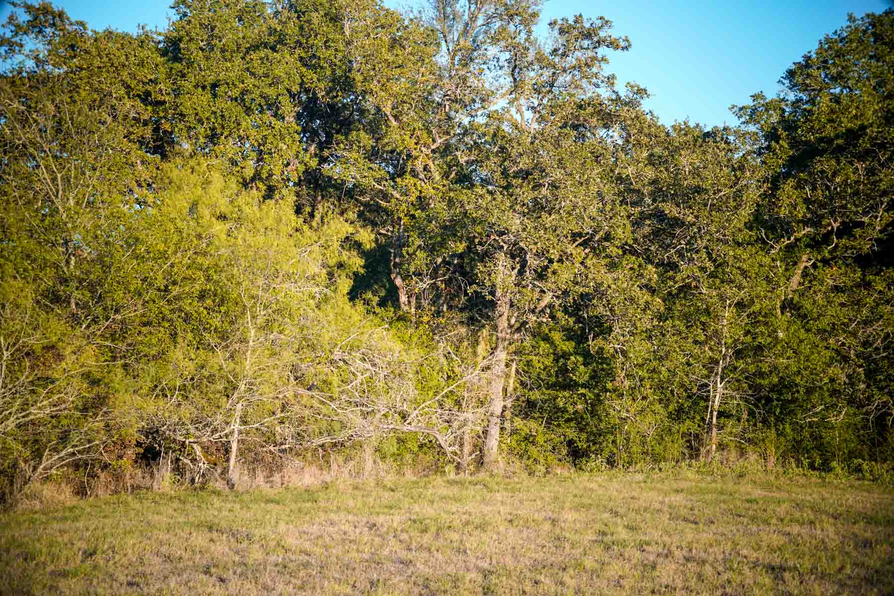 Windy Hill Ranch property picture 31 of 46