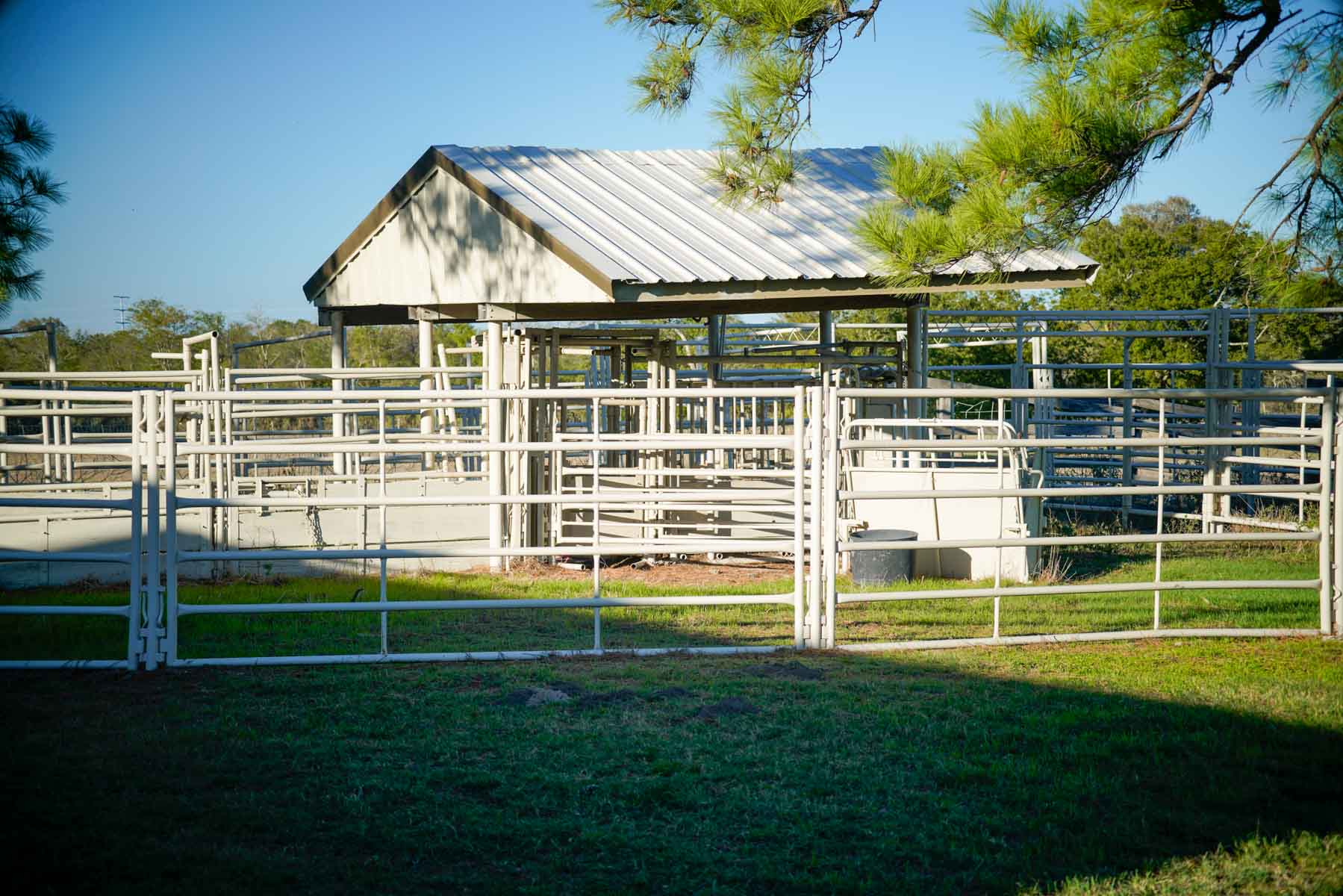 Windy Hill Ranch property picture 39 of 46