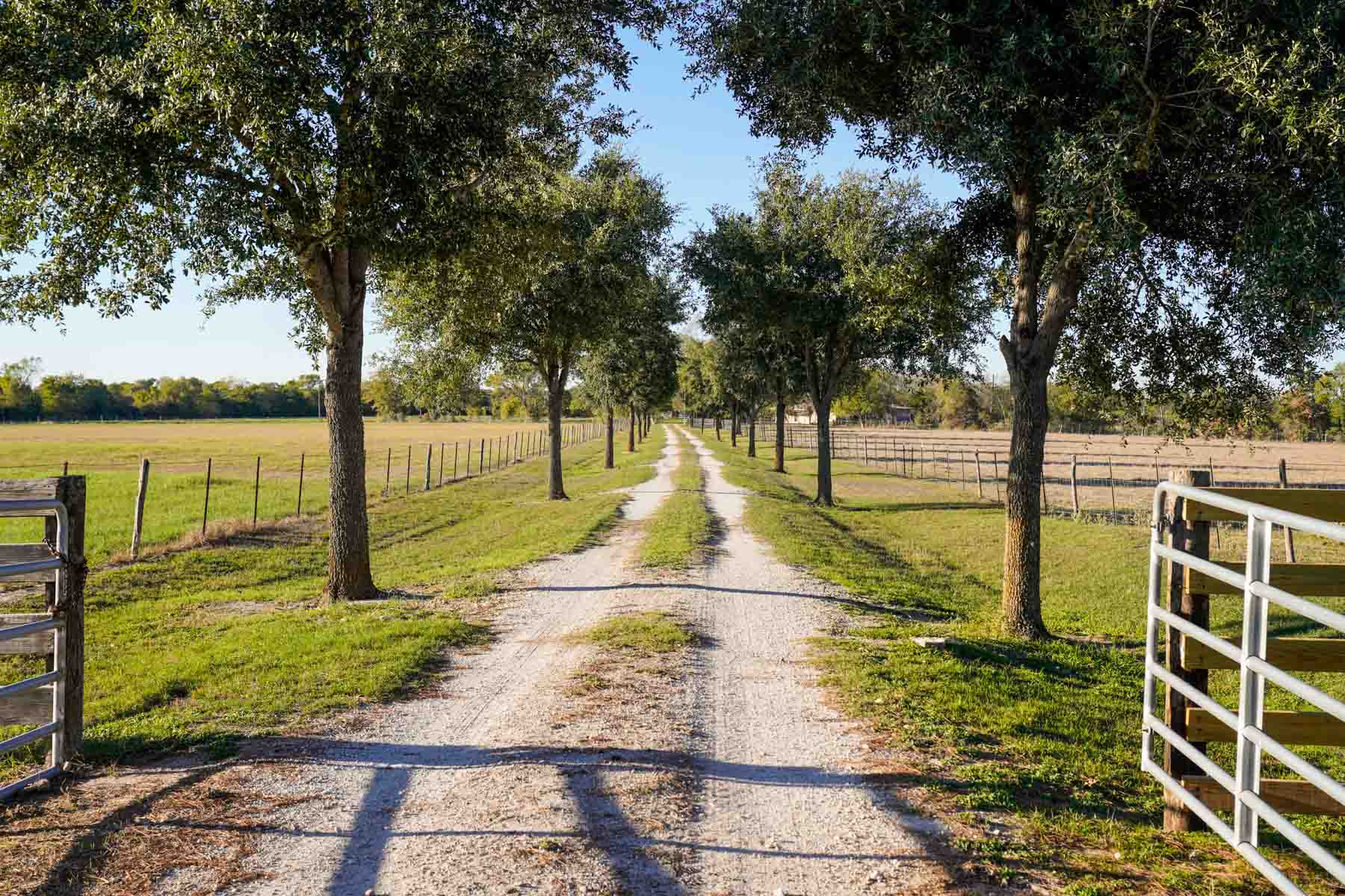 Windy Hill Ranch property picture 34 of 46