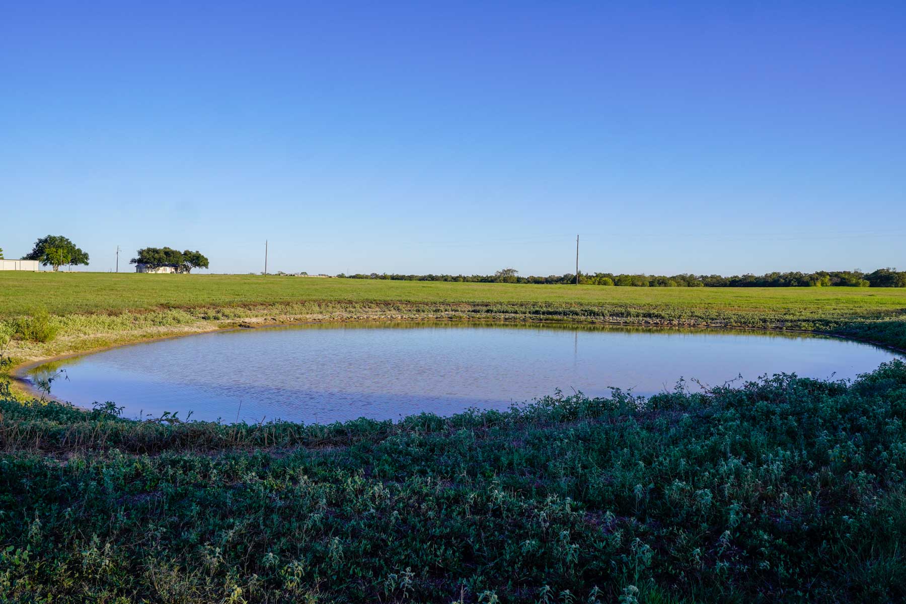 Windy Hill Ranch property picture 32 of 46