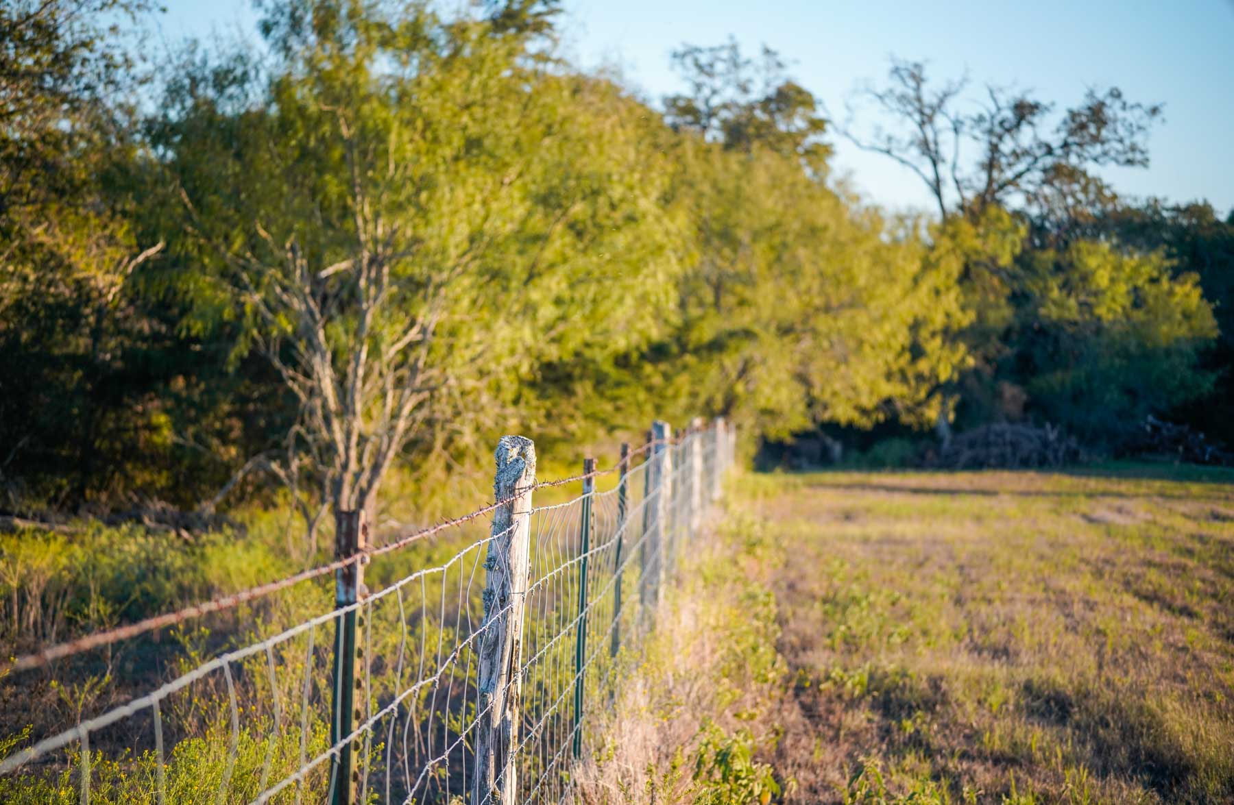 Windy Hill Ranch property picture 23 of 46