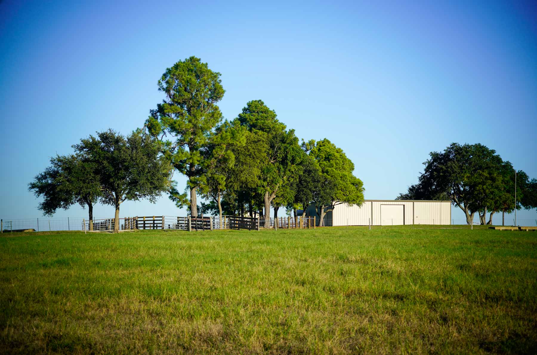 Windy Hill Ranch property picture 3 of 46