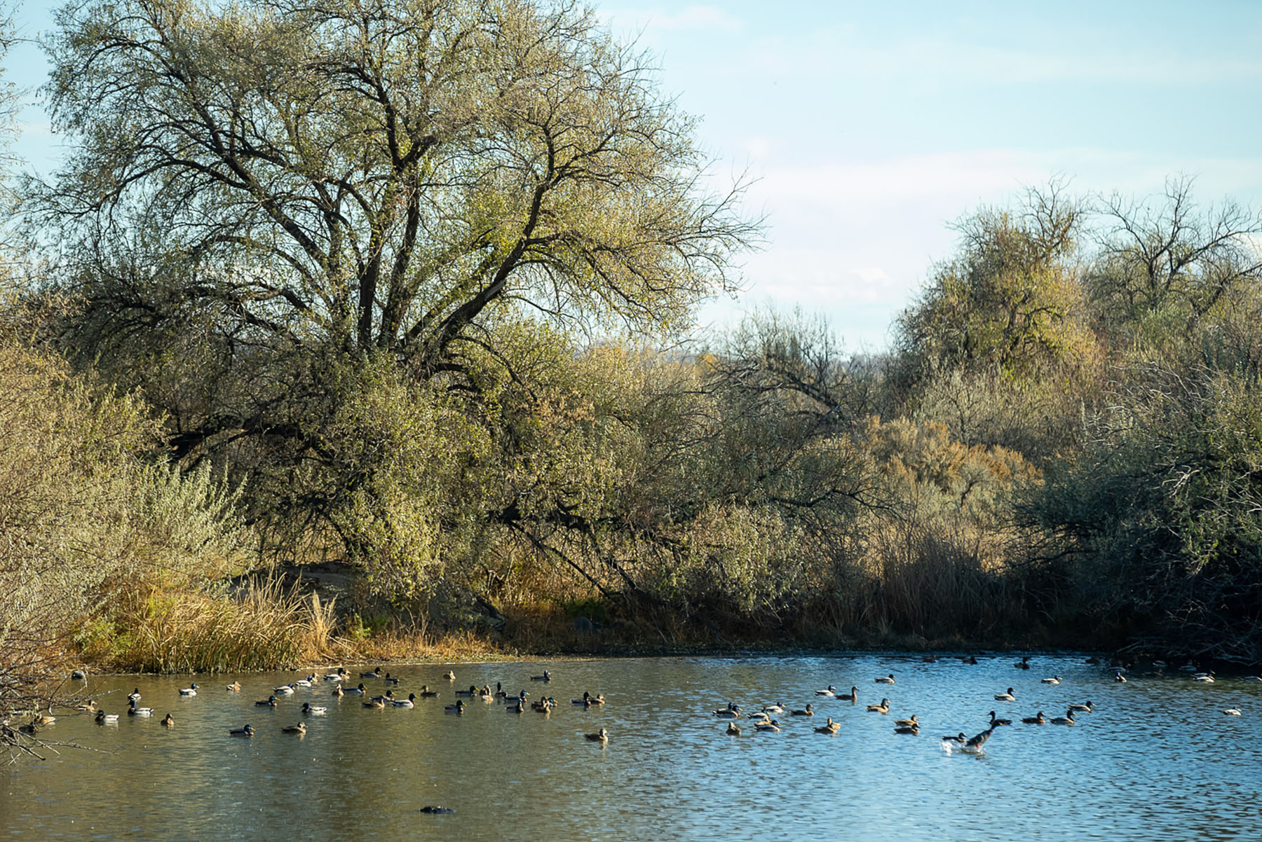 Circle S West Ranch property picture 20 of 80