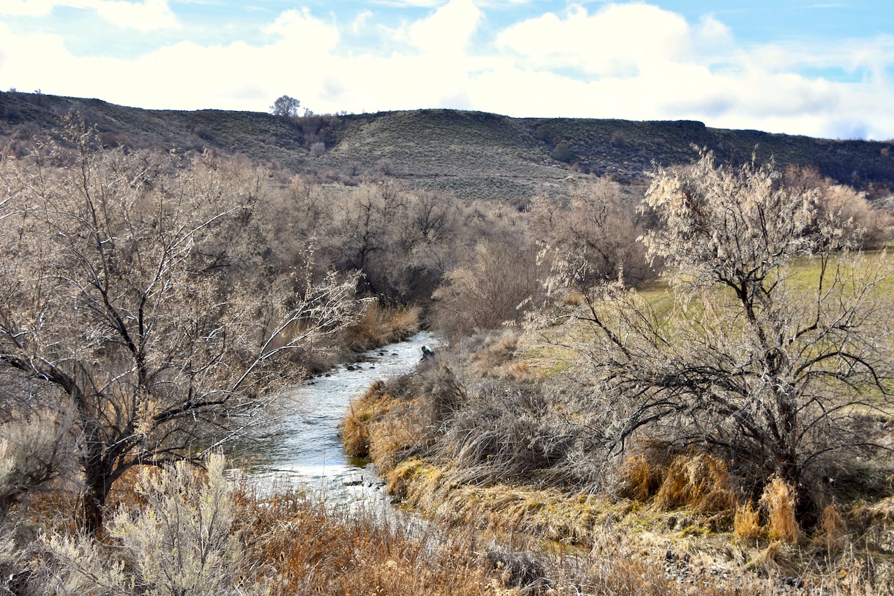 Circle S West Ranch property picture 38 of 80
