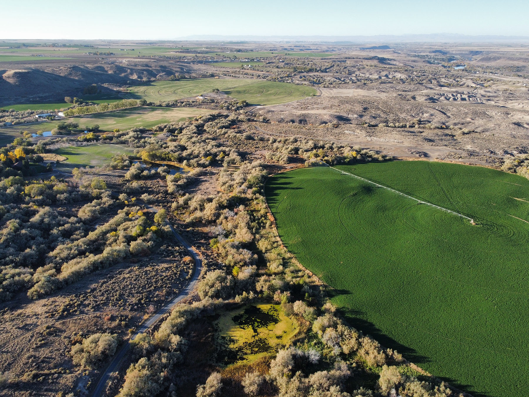 Circle S West Ranch property picture 68 of 80