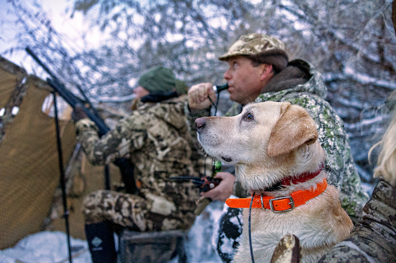 Circle S West Ranch property picture 22 of 80