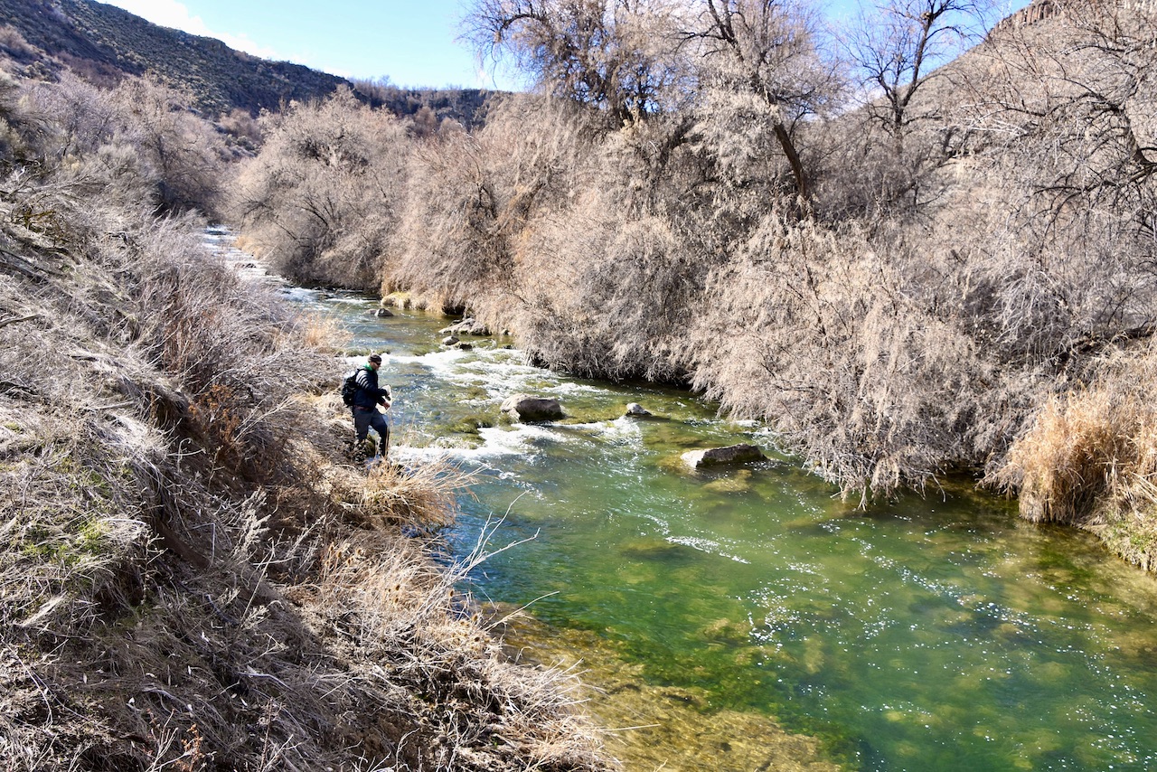 Circle S West Ranch property picture 32 of 80