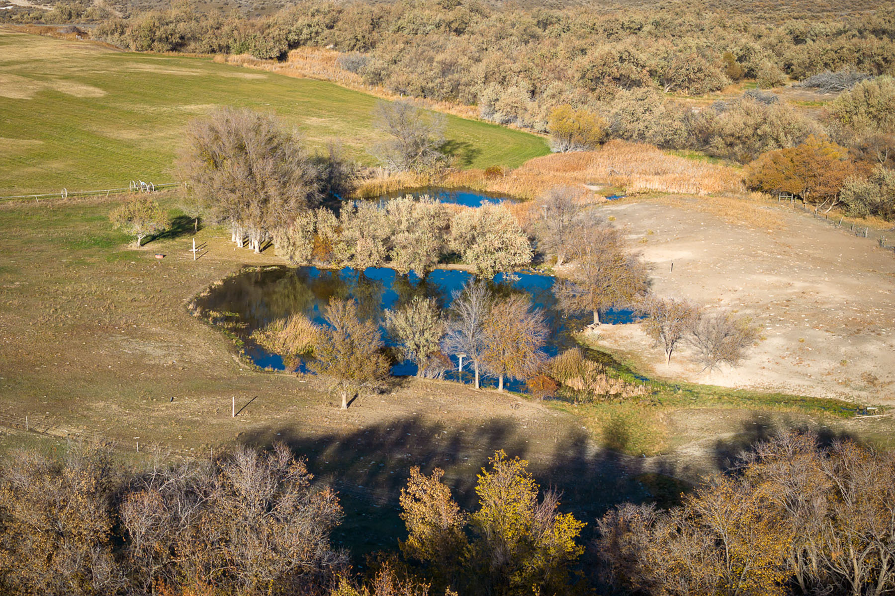 Circle S West Ranch property picture 9 of 80
