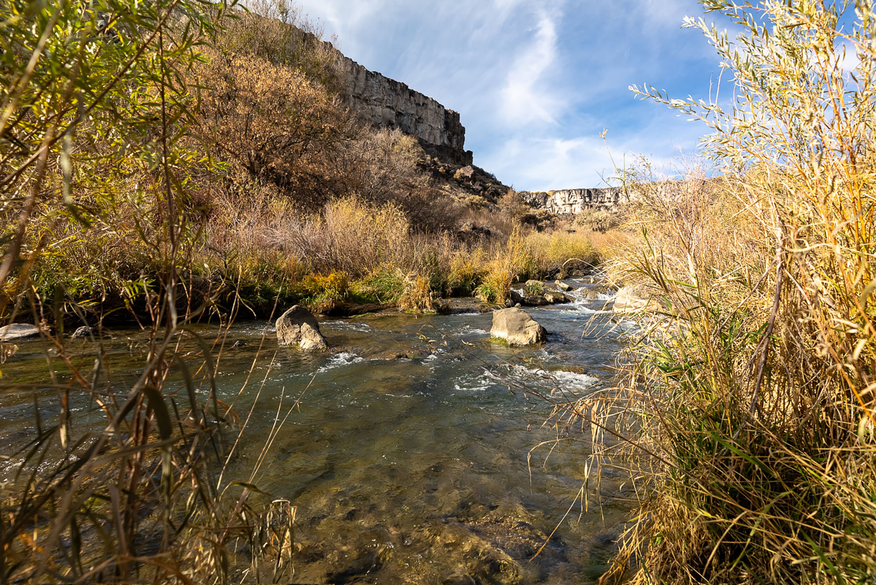 Circle S West Ranch property picture 5 of 80