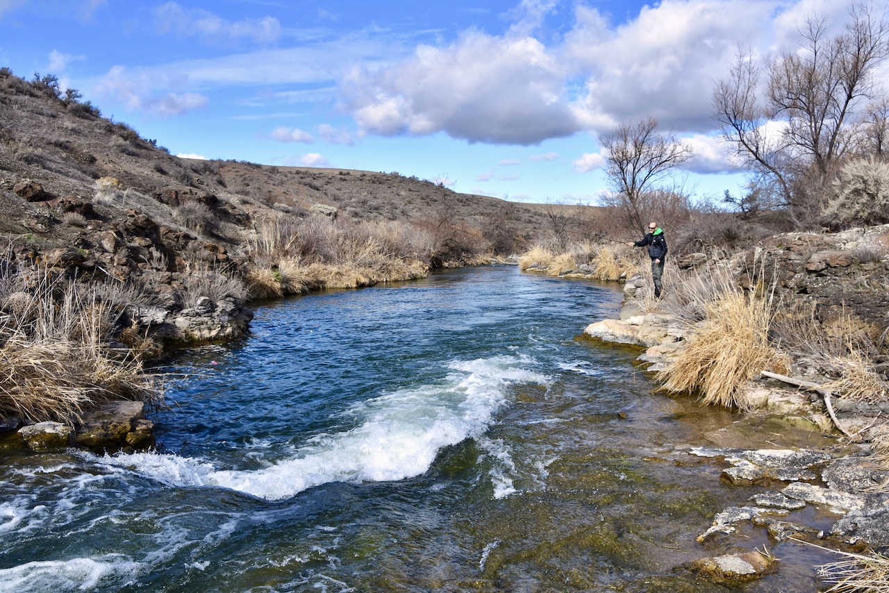 Circle S West Ranch property picture 34 of 80