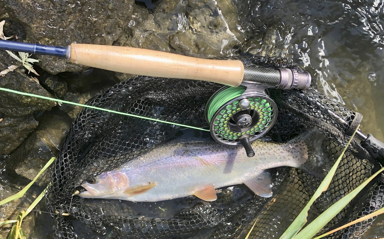 Circle S West Ranch property picture 39 of 80