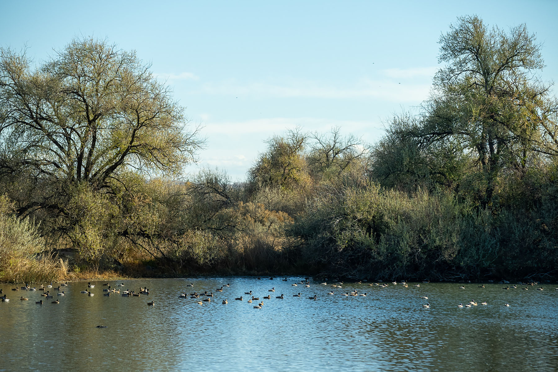 Circle S West Ranch property picture 6 of 80