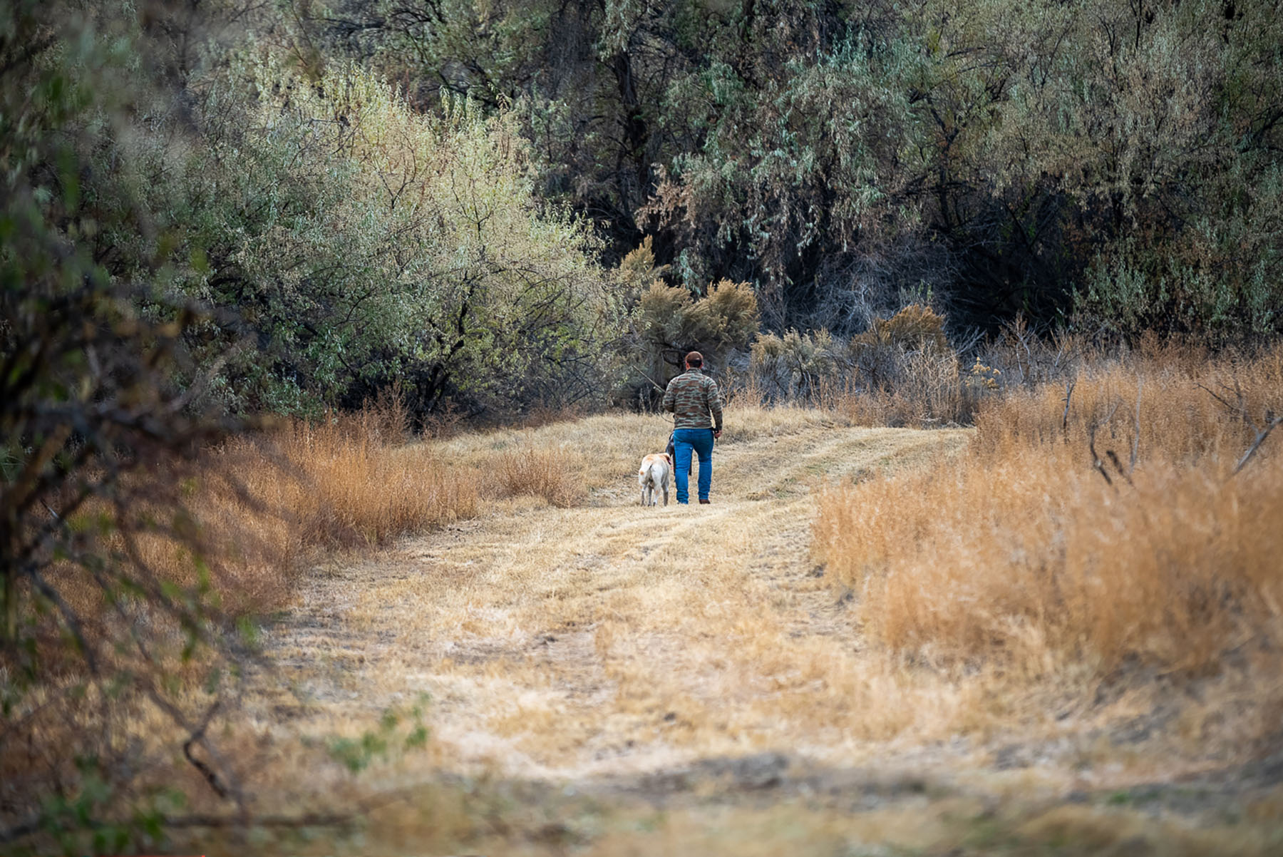 Circle S West Ranch property picture 30 of 80