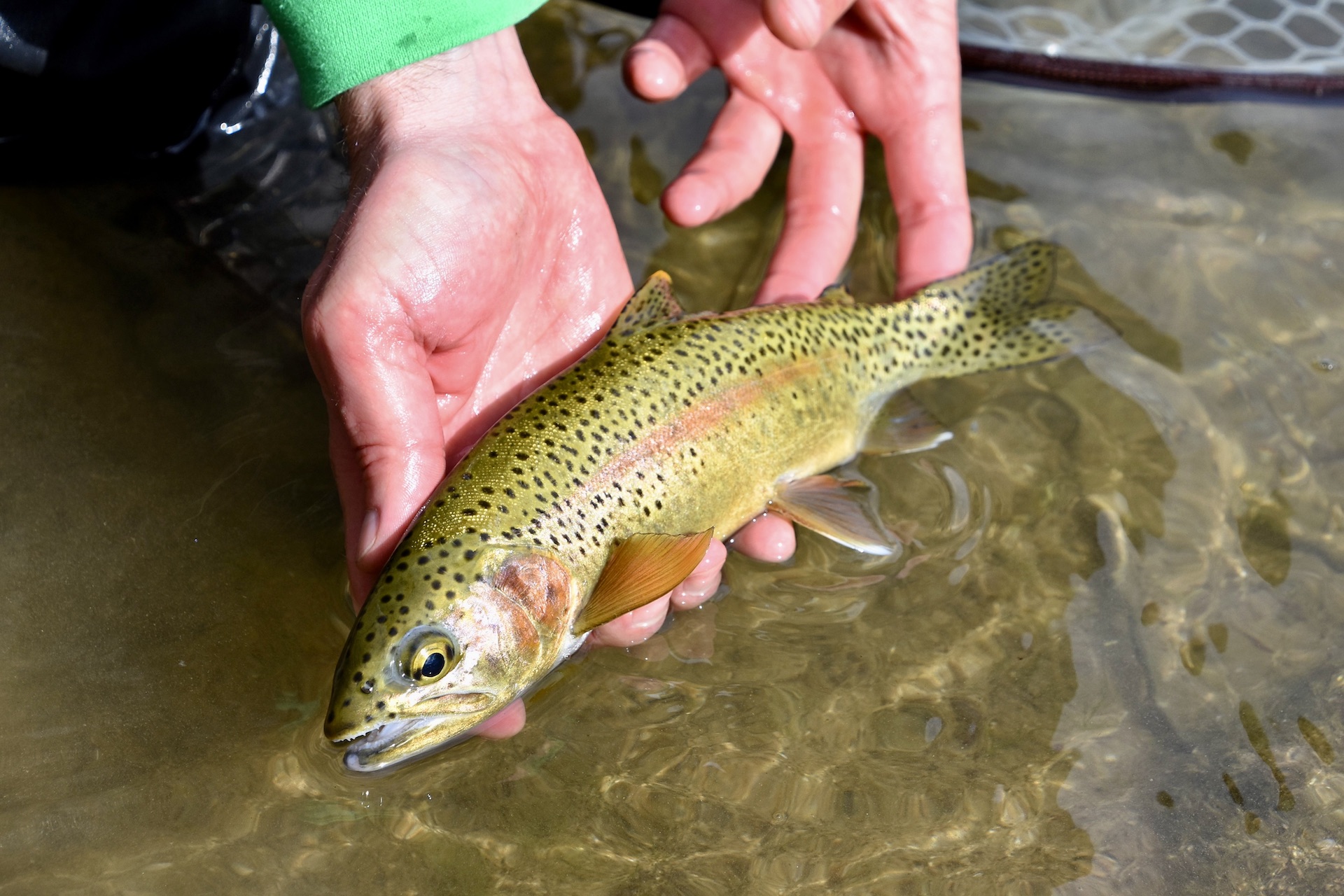 Circle S West Ranch property picture 35 of 80