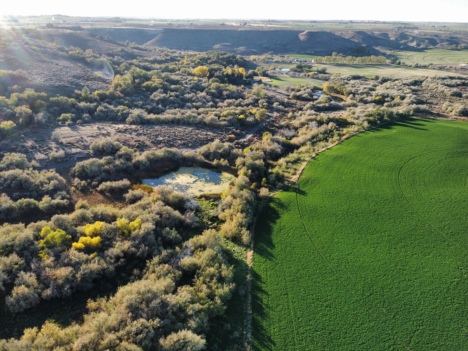 Circle S West Ranch property picture 67 of 80