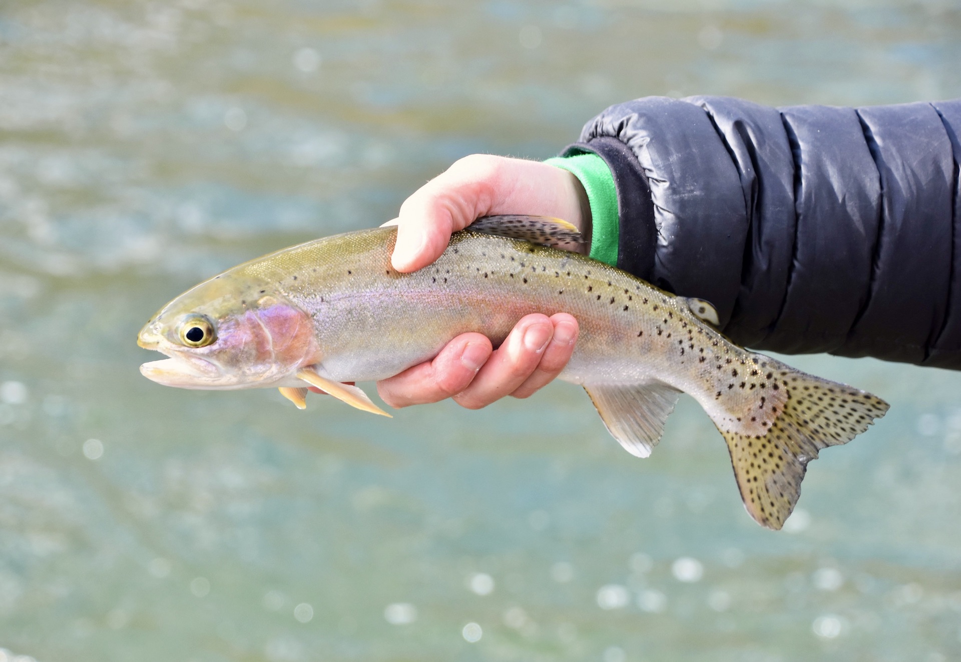 Circle S West Ranch property picture 36 of 80