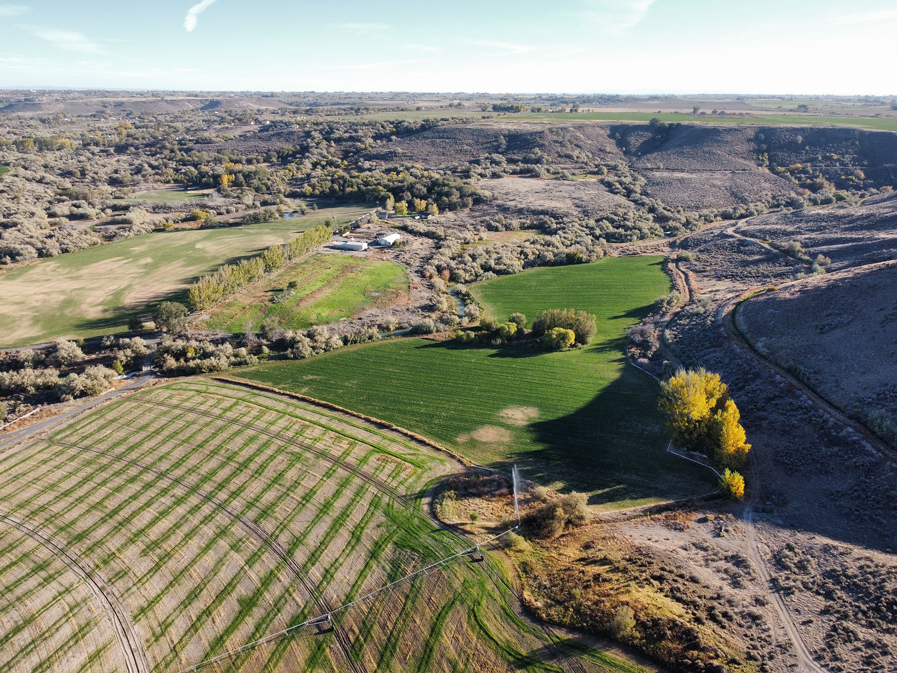 Circle S West Ranch property picture 61 of 80