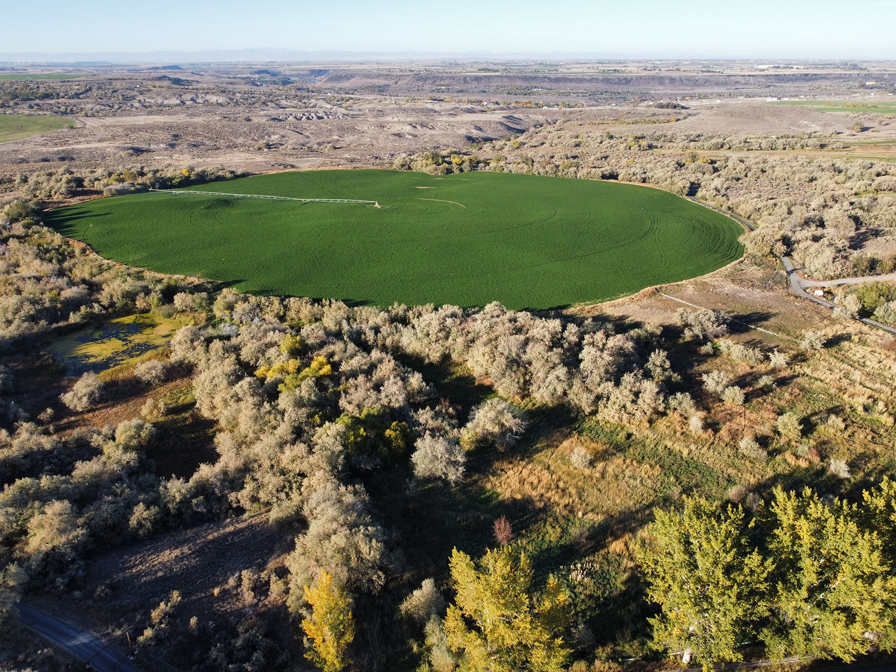 Circle S West Ranch property picture 65 of 80