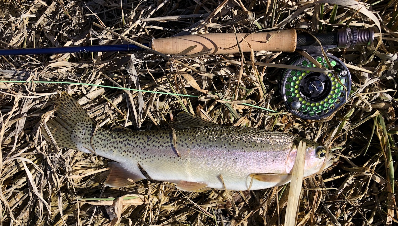 Circle S West Ranch property picture 40 of 80