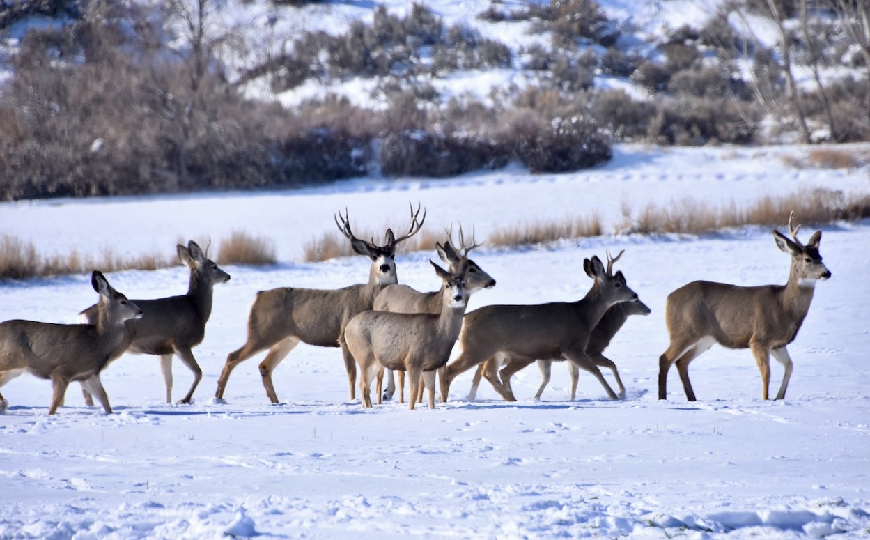 Circle S West Ranch property picture 28 of 80