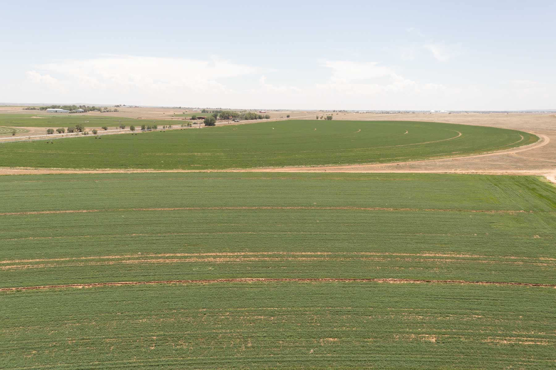 King Farms property picture 8 of 10