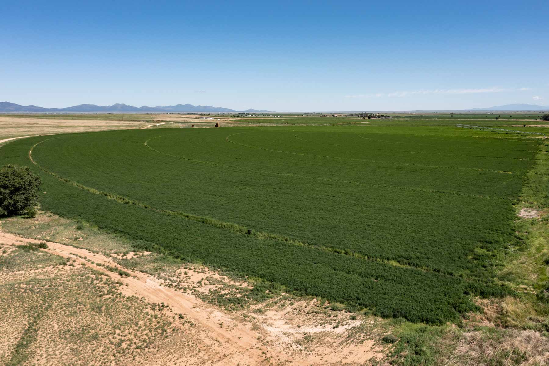 King Farms property picture 3 of 10