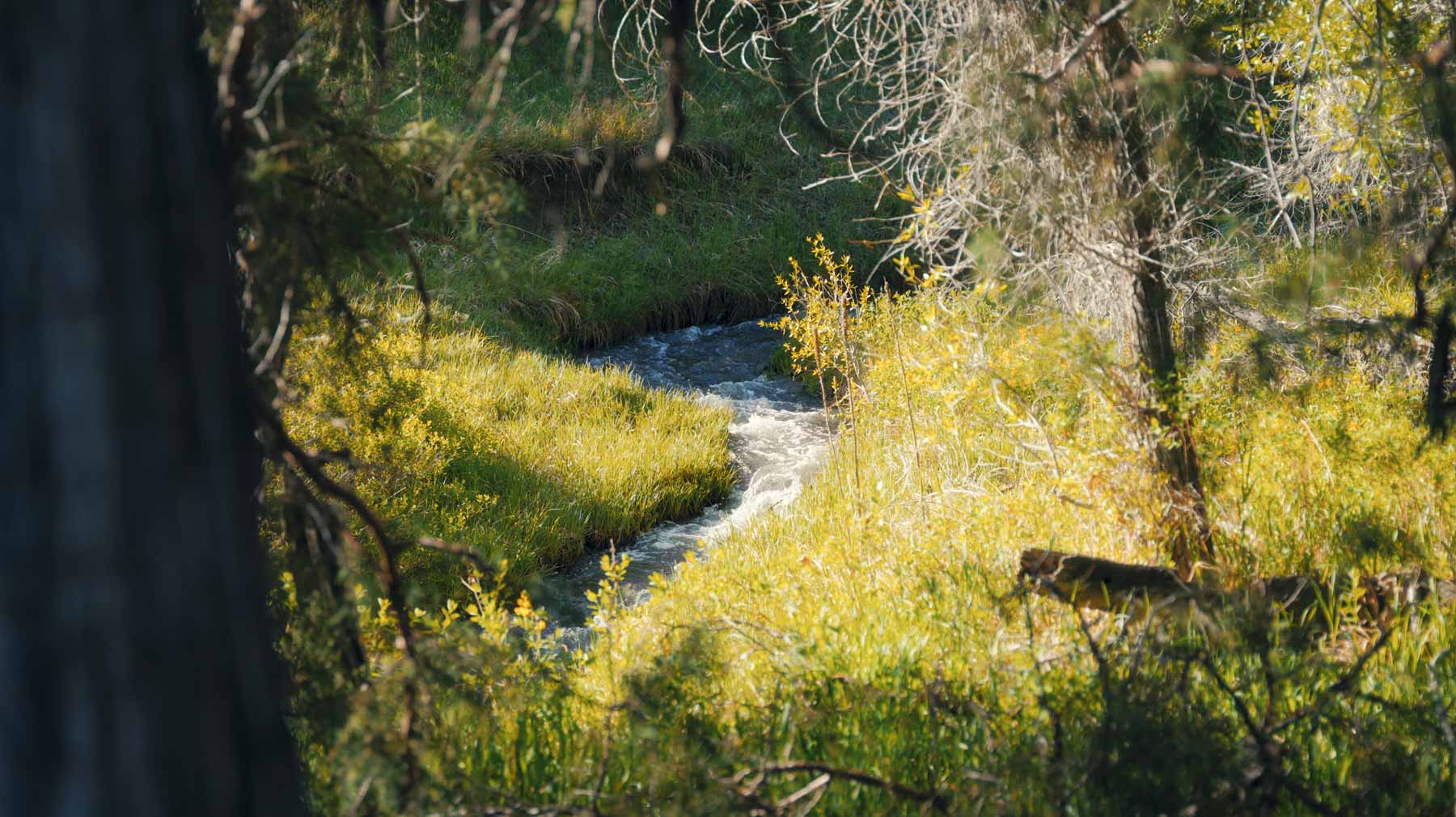 Bear Creek Valley Ranch property picture 17 of 45