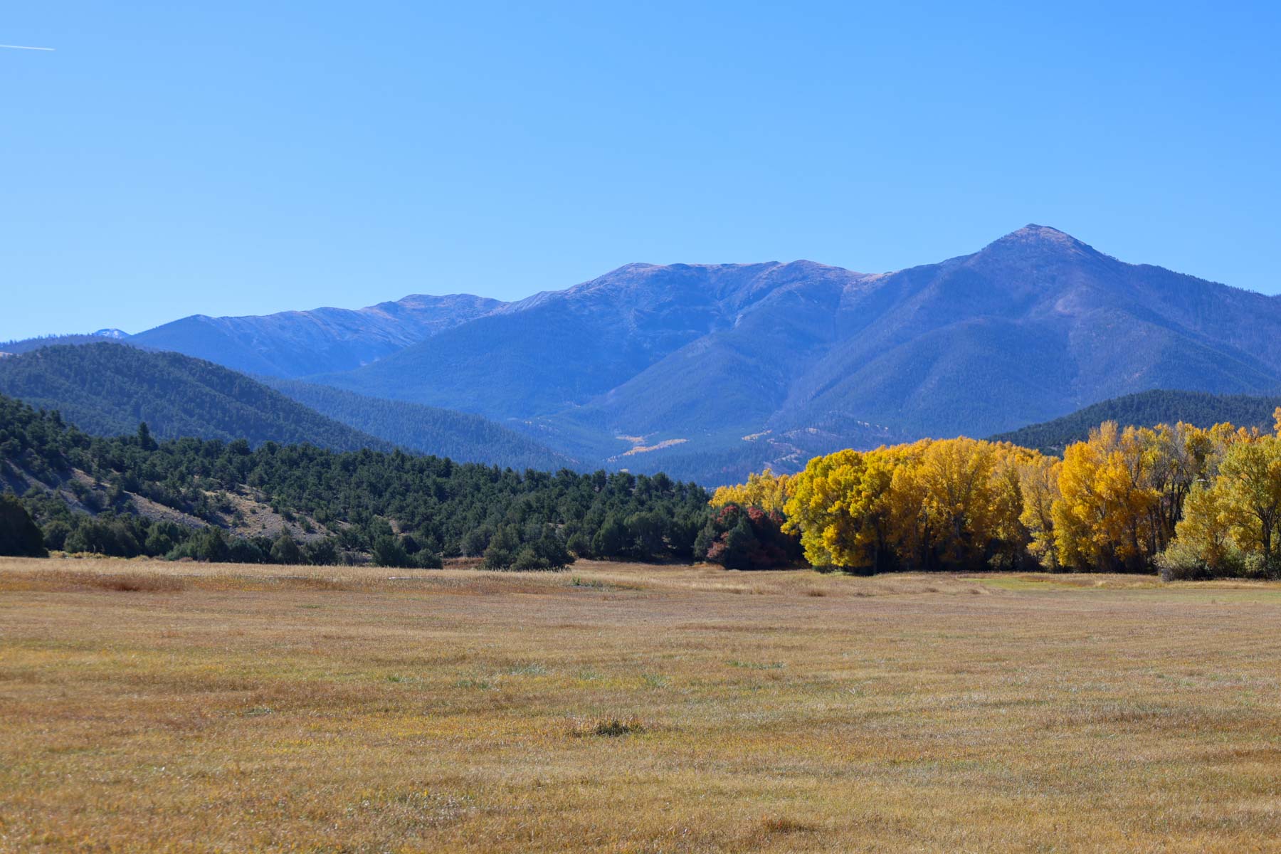 Bear Creek Valley Ranch property picture 33 of 45