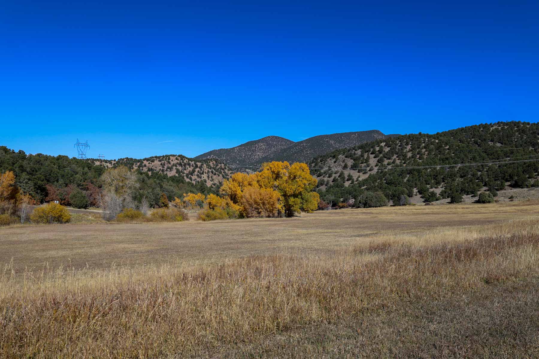 Bear Creek Valley Ranch property picture 43 of 45