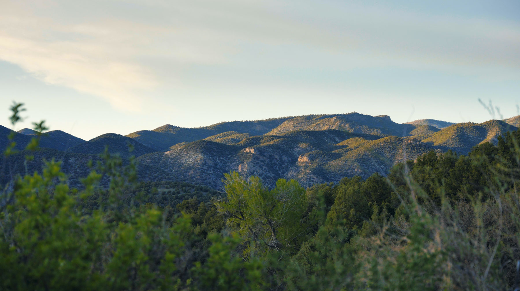 Bear Creek Valley Ranch property picture 16 of 45