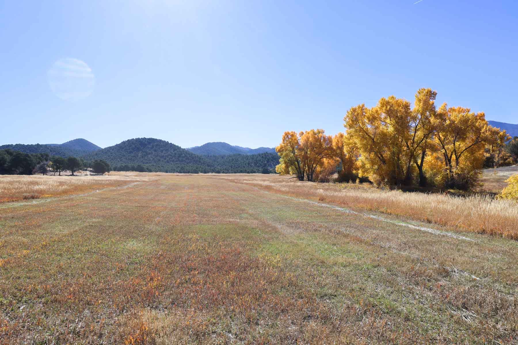 Bear Creek Valley Ranch property picture 22 of 45